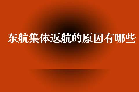 东航集体返航的原因有哪些_https://m.apzhendong.com_期货行情_第1张