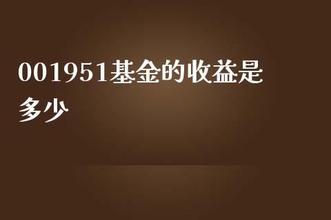 001951基金的收益是多少_https://m.apzhendong.com_财务分析_第1张