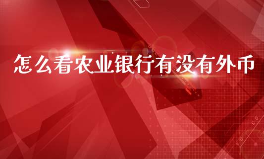 怎么看农业银行有没有外币_https://m.apzhendong.com_全球经济_第1张