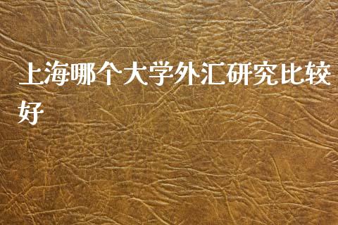 上海哪个大学外汇研究比较好_https://m.apzhendong.com_财务分析_第1张