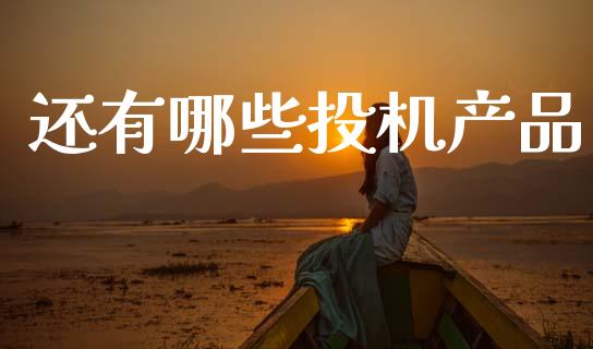 还有哪些投机产品_https://m.apzhendong.com_财务分析_第1张