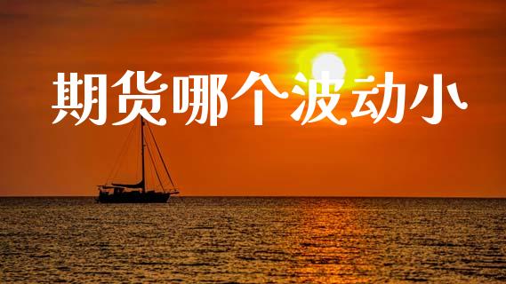 期货哪个波动小_https://m.apzhendong.com_财经资讯_第1张