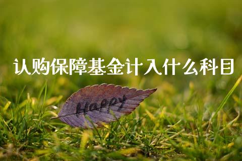 认购保障基金计入什么科目_https://m.apzhendong.com_财务分析_第1张