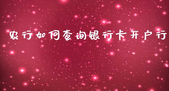 农行如何查询银行卡开户行_https://m.apzhendong.com_全球经济_第1张