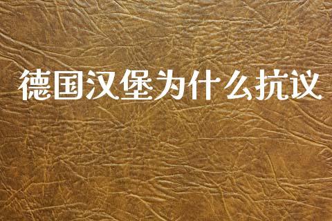 德国汉堡为什么抗议_https://m.apzhendong.com_全球经济_第1张