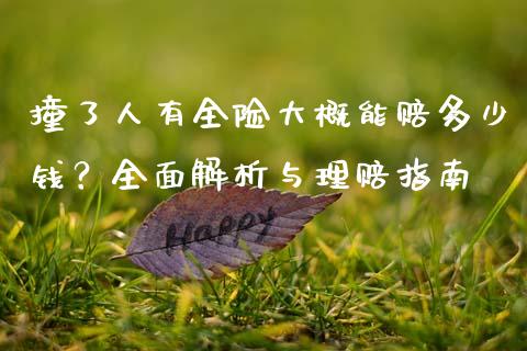 撞了人有全险大概能赔多少钱？全面解析与理赔指南_https://m.apzhendong.com_全球经济_第1张