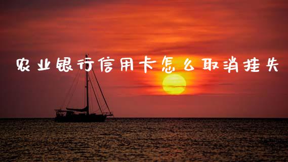 农业银行信用卡怎么取消挂失_https://m.apzhendong.com_财务分析_第1张