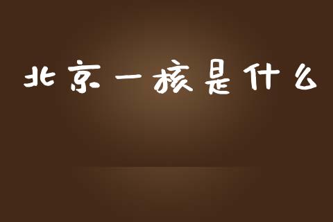 北京一核是什么_https://m.apzhendong.com_财务分析_第1张