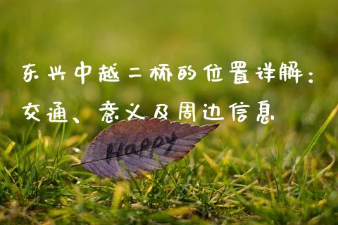 东兴中越二桥的位置详解：交通、意义及周边信息_https://m.apzhendong.com_期货行情_第1张