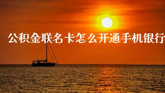 公积金联名卡怎么开通手机银行_https://m.apzhendong.com_全球经济_第1张