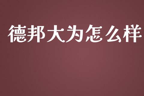 德邦大为怎么样_https://m.apzhendong.com_财务分析_第1张