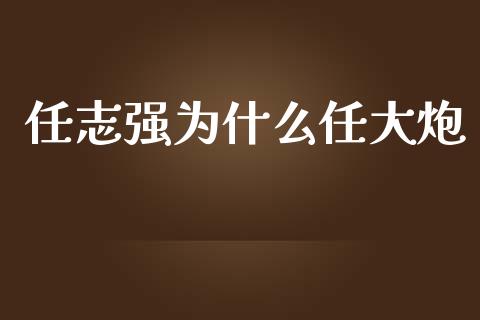 任志强为什么任大炮_https://m.apzhendong.com_财务分析_第1张