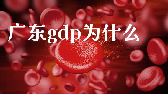 广东gdp为什么_https://m.apzhendong.com_期货行情_第1张