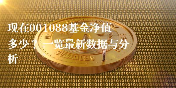 现在001088基金净值多少？ 一览最新数据与分析_https://m.apzhendong.com_期货行情_第1张