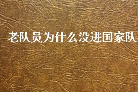 老队员为什么没进国家队_https://m.apzhendong.com_财务分析_第1张