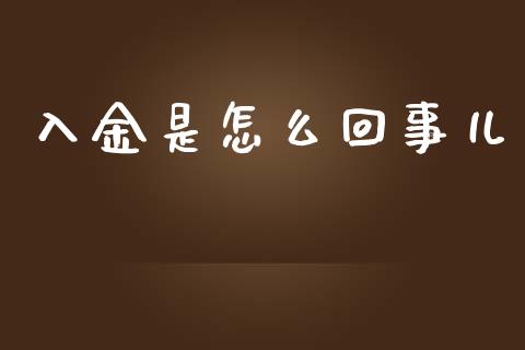入金是怎么回事儿_https://m.apzhendong.com_财经资讯_第1张