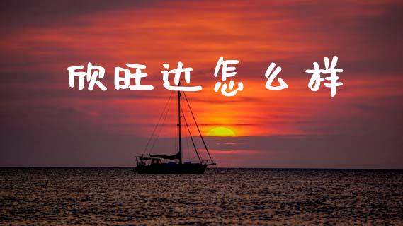 欣旺达怎么样_https://m.apzhendong.com_财经资讯_第1张