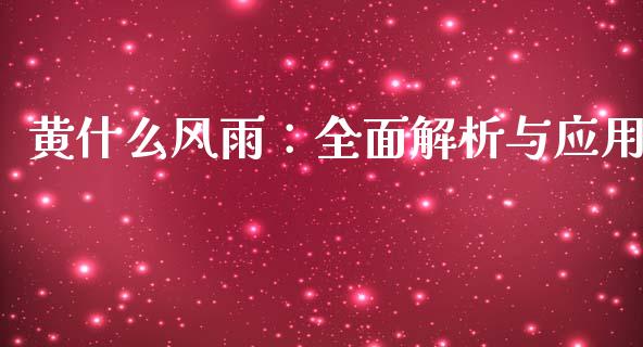黄什么风雨：全面解析与应用_https://m.apzhendong.com_财务分析_第1张