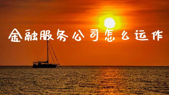 金融服务公司怎么运作_https://m.apzhendong.com_财务分析_第1张