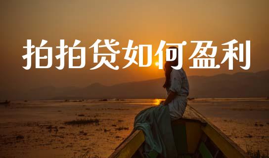 拍拍贷如何盈利_https://m.apzhendong.com_财务分析_第1张