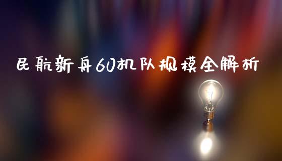 民航新舟60机队规模全解析_https://m.apzhendong.com_全球经济_第1张