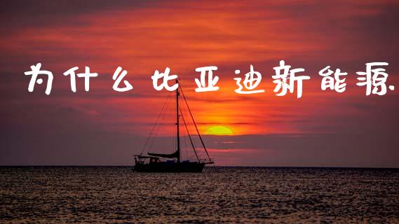 为什么比亚迪新能源_https://m.apzhendong.com_全球经济_第1张