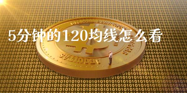 5分钟的120均线怎么看_https://m.apzhendong.com_财经资讯_第1张