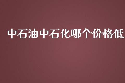 中石油中石化哪个价格低_https://m.apzhendong.com_财经资讯_第1张