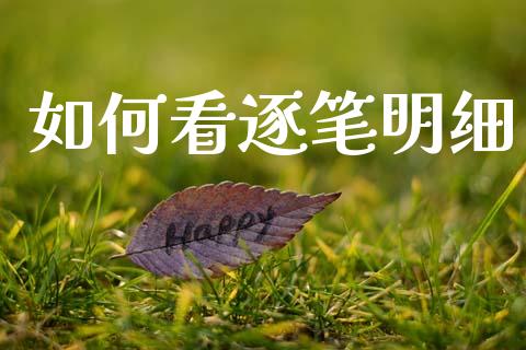 如何看逐笔明细_https://m.apzhendong.com_期货行情_第1张