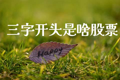 三字开头是啥股票_https://m.apzhendong.com_财务分析_第1张