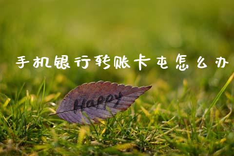 手机银行转账卡屯怎么办_https://m.apzhendong.com_财务分析_第1张