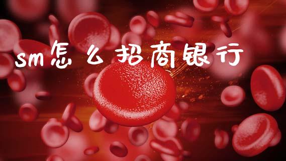 sm怎么招商银行_https://m.apzhendong.com_全球经济_第1张