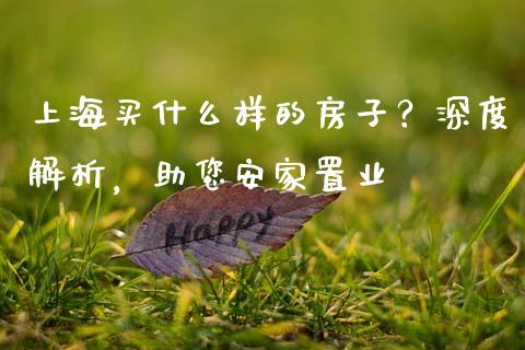 上海买什么样的房子？深度解析，助您安家置业_https://m.apzhendong.com_期货行情_第1张