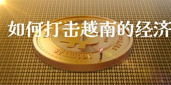 如何打击越南的经济_https://m.apzhendong.com_财务分析_第1张