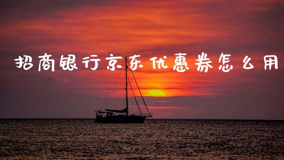 招商银行京东优惠券怎么用_https://m.apzhendong.com_财务分析_第1张