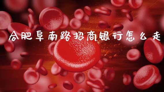 合肥阜南路招商银行怎么走_https://m.apzhendong.com_财务分析_第1张
