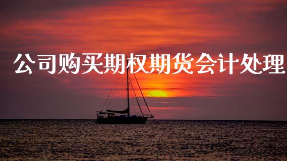 公司购买期权期货会计处理_https://m.apzhendong.com_财经资讯_第1张