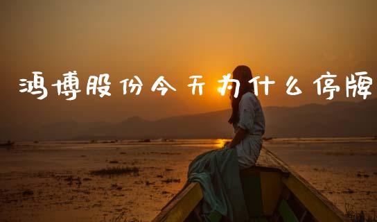 鸿博股份今天为什么停牌_https://m.apzhendong.com_财务分析_第1张