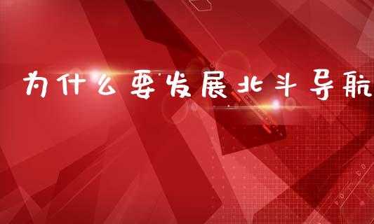 为什么要发展北斗导航_https://m.apzhendong.com_财务分析_第1张