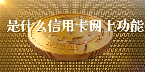 是什么信用卡网上功能_https://m.apzhendong.com_全球经济_第1张