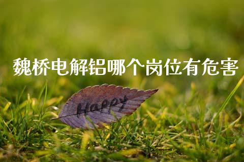 魏桥电解铝哪个岗位有危害_https://m.apzhendong.com_财经资讯_第1张