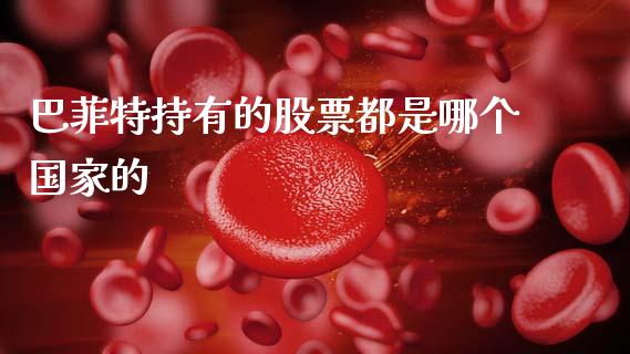 巴菲特持有的股票都是哪个国家的_https://m.apzhendong.com_财务分析_第1张
