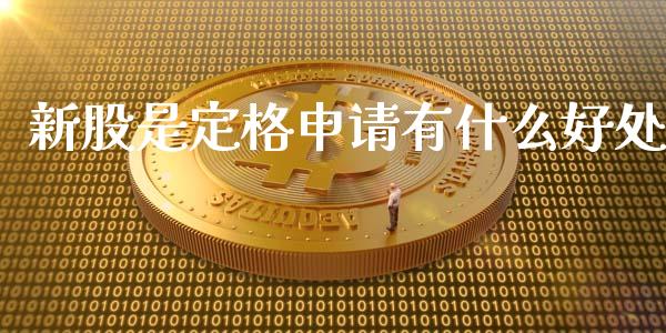 新股是定格申请有什么好处_https://m.apzhendong.com_财经资讯_第1张