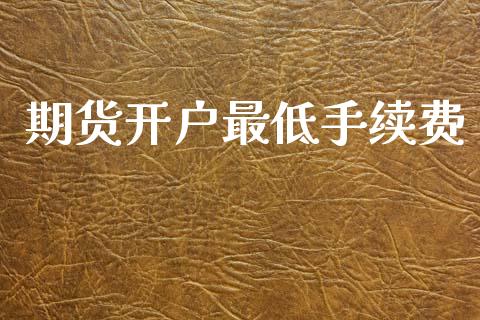 期货开户最低手续费_https://m.apzhendong.com_全球经济_第1张