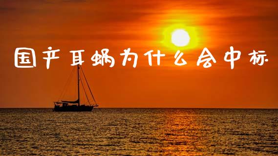国产耳蜗为什么会中标_https://m.apzhendong.com_财经资讯_第1张