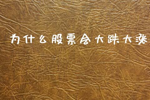 为什么股票会大跌大涨_https://m.apzhendong.com_期货行情_第1张