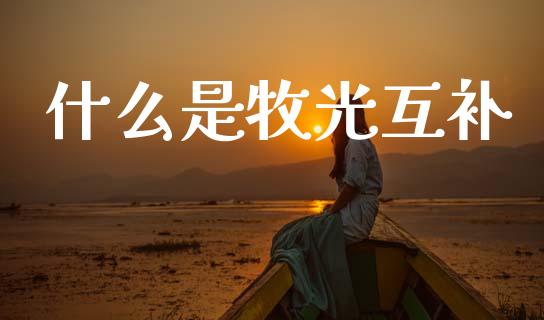 什么是牧光互补_https://m.apzhendong.com_全球经济_第1张