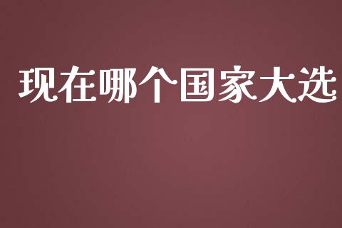 现在哪个国家大选_https://m.apzhendong.com_期货行情_第1张