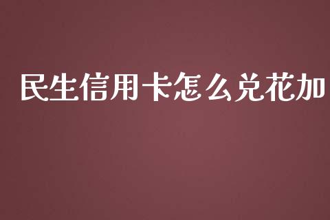 民生信用卡怎么兑花加_https://m.apzhendong.com_财务分析_第1张