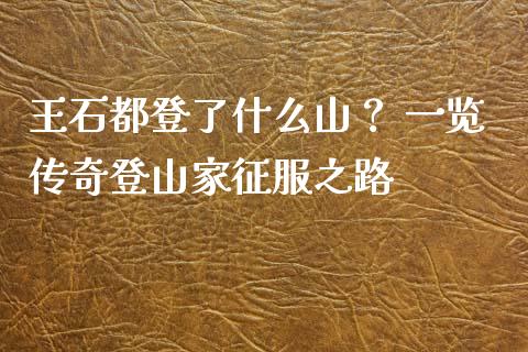 王石都登了什么山？ 一览传奇登山家征服之路_https://m.apzhendong.com_全球经济_第1张